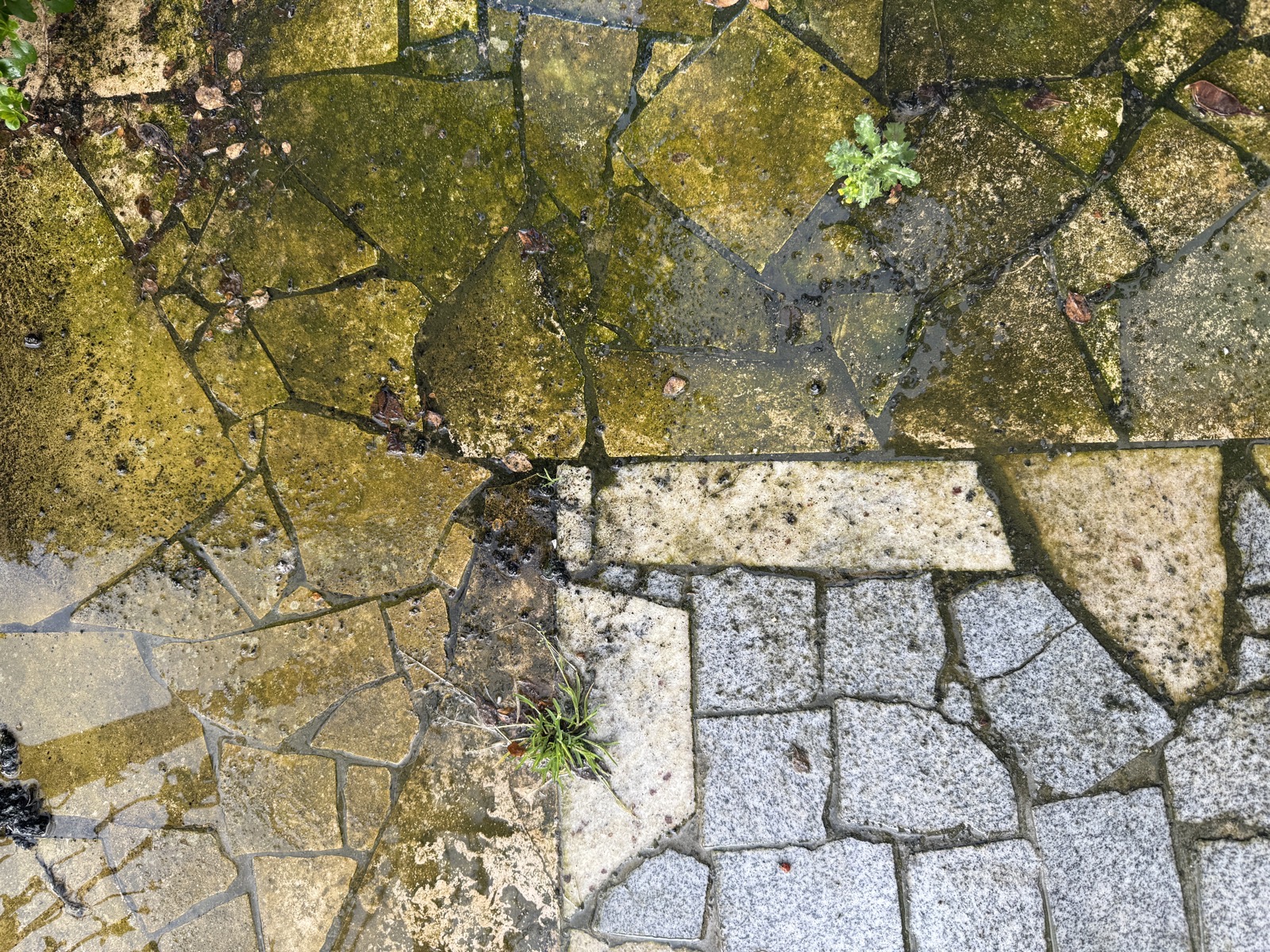Vorher