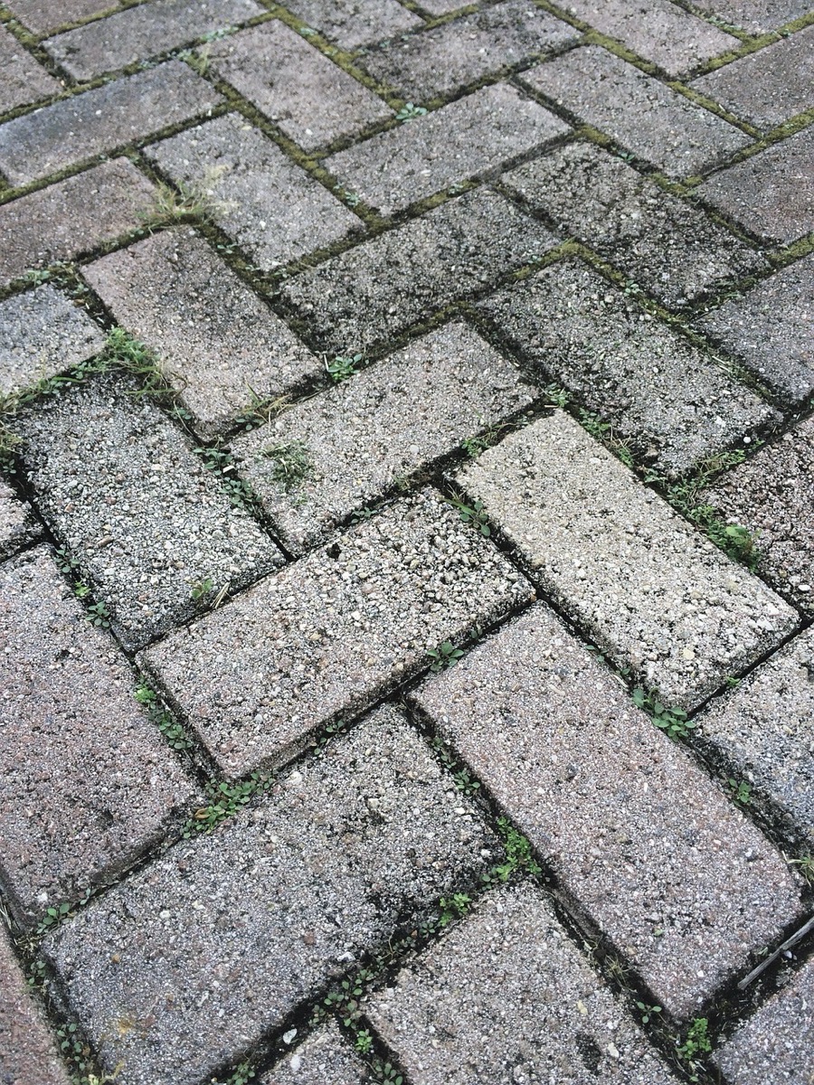 Unkrautentfernung Krefeld